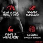 Insane Labz, Psychotic Pre Workout (35 Serving) | Best Price in Bangladesh - Image 2